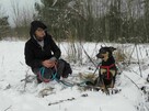 Zapomniany, wrażliwy Lori szuka domu !! - 6