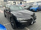 Alfa Romeo Stelvio 2.0 Turbo TI Q4 - 2