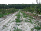 Gospodarstwo rolne - 5