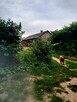 Dom z działką 80 arów, fotowoltaika i Pompa ciepła - 7