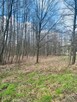 Działka nad jeziorem - 4