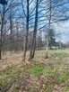 Działka nad jeziorem - 5