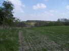 działki nad jeziorem - 6