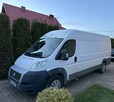 Bus na wynajem Najem Wynajem Fiat Ducato - 2