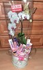 Swett Box - 6