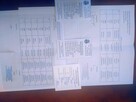 Matki pszczele na sezon 2025 krainka linia S i Prima - 3