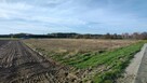 Działka budowlana 10ar stare prażuchy gm. Ceków p. Kalisz - 3