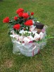 Swett Box - 2