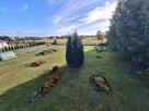 Dom do zamieszkania, tereny zielone, duża działka - 3
