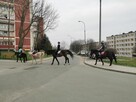 Sprzedam mieszkanie Kraków ulica Wawelska 8 - 9
