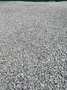 Kruszywo drogowe pohutnicze - 2