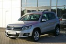 Volkswagen Tiguan 4x4! Łopatki Bixenon LED Kamera Grzane fotele Alu Bezwypadek GWARANCJA - 3
