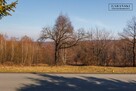 Działka budowlana Dąbrówka Szczepanowska gm. Pleśna - 9