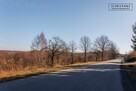 Działka budowlana Dąbrówka Szczepanowska gm. Pleśna - 10