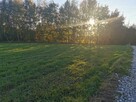 Działka rekreacyjna Ćwiklice gm. Pszczyna - 6