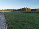 Działka rekreacyjna Ćwiklice gm. Pszczyna - 7