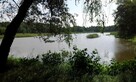 Działka rekreacyjna Ćwiklice gm. Pszczyna - 8