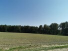 Działka rekreacyjna Ćwiklice gm. Pszczyna - 9
