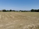Działka rekreacyjna Ćwiklice gm. Pszczyna - 11