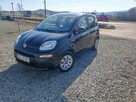 Fiat Panda 1.2 Z Niemiec - 7