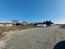działka budowlana Sieciechów, Kutno - 4