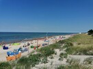 Pensjonat całoroczny z apartamentem dla nowych właścicieli - 8