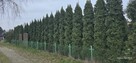 Ogródek Działkowy Sprzedam. - 7