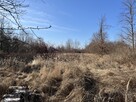 Duża działka inwestycyjna we Wsoli blisko Radomia. - 3