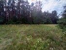 Działka leśno-rolna, Ruda, Tarczyn,blisko S7 - 3