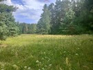 Działka leśno-rolna, Ruda, Tarczyn,blisko S7 - 4