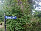 Działka leśno-rolna, Ruda, Tarczyn,blisko S7 - 8