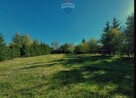 Ładna działka rolno-budowlana z lasem, prywatność - 7