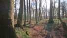11 ha przy drodze S6/S11. 20 min do Kołobrz - 4
