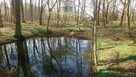 11 ha przy drodze S6/S11. 20 min do Kołobrz - 6