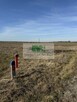DO SPRZEDAŻY DZIAŁKA Z MOŻLIWOŚCIĄ ZABUDOWY-DĘBNO- - 3