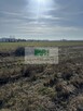 DO SPRZEDAŻY DZIAŁKA Z MOŻLIWOŚCIĄ ZABUDOWY-DĘBNO- - 5