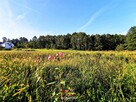 Działka Alwernia - 6