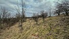 Działka rolna Krzeszowice - 12