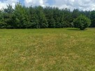 Działka Dąbrówka Wielka 1400m2 - ul. Kasztanowa - 8