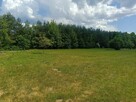 Działka Dąbrówka Wielka 1400m2 - ul. Kasztanowa - 6