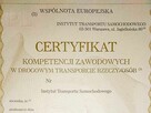 Doradca ADR, DGSA, Transport, Spedycja, Opony - 6