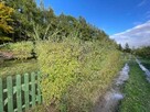 Działka ROD w Słupsku, Gdańska - 4