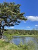 Działki z linią brzegową nad Narwią Szablak. Bezpośrednio - 3