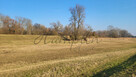 Działka rolna Kromnów gm. Brochów, - 9