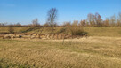 Działka rolna Kromnów gm. Brochów, - 10