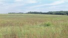 Do wynajęcia 70 ha blisko autostrady A-4 Małopolskie/Śląskie - 1