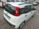 Fiat Panda - 4