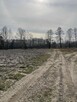 Działka przemysłowa o pow. 17 129 m² - 2