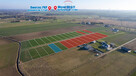 Działka z WZ, blisko Gąsek o pow. 941 m2! - 6