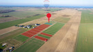 Działka z WZ, blisko Gąsek o pow. 941 m2! - 7